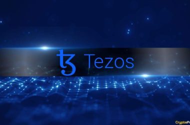 tezos-sees-rising-revenue-but-declining-activity-as-users-shift-to-layer-2