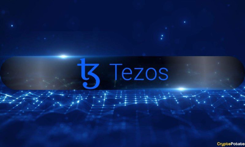tezos-sees-rising-revenue-but-declining-activity-as-users-shift-to-layer-2