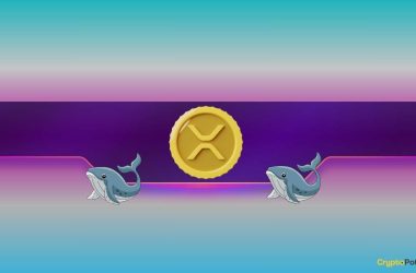 why-did-ripple’s-(xrp)-price-tumble-by-8%-daily?