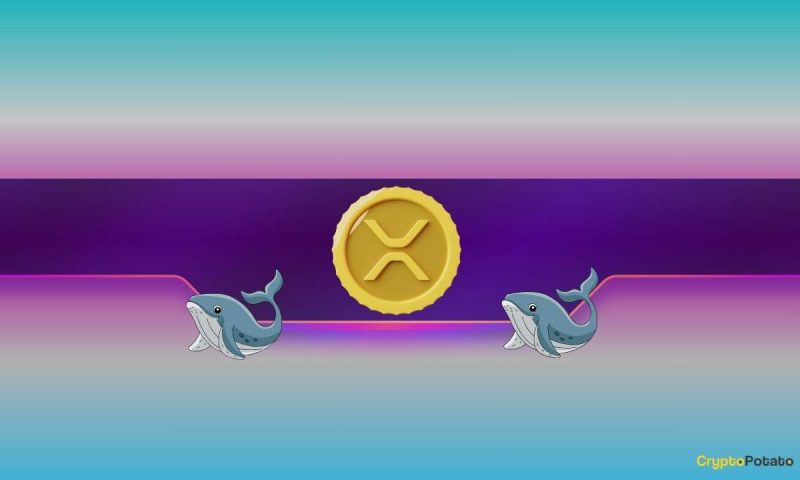why-did-ripple’s-(xrp)-price-tumble-by-8%-daily?