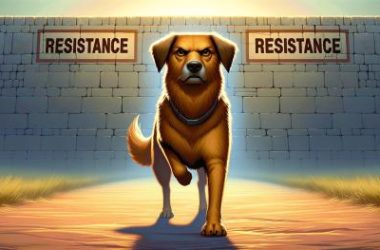 dogecoin-(doge)-attempts-a-comeback:-can-it-clear-resistance?