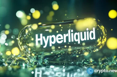 what-is-hyperliquid?-a-look-at-the-platform-and-the-hype-token