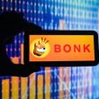 solana’s-bonk-roundtrips-total-gains-from-2024,-here’s-why-it’s-a-good-buy-now