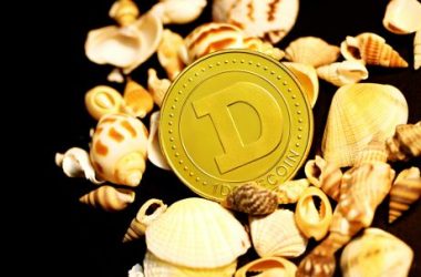 dogecoin-starts-out-february-with-23%-crash,-what-does-historical-data-point-to?
