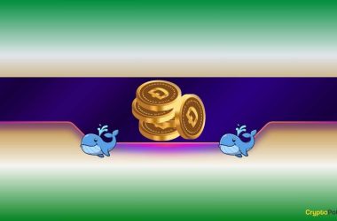 dogecoin-whales-keep-buying-but-doge-price-keeps-dropping