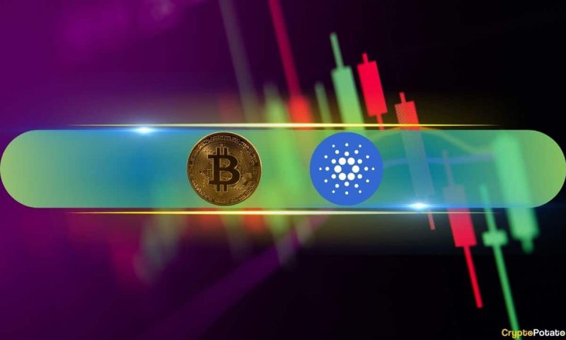 cardano-explodes-by-double-digits,-bitcoin-taps-$98k-(market-watch)