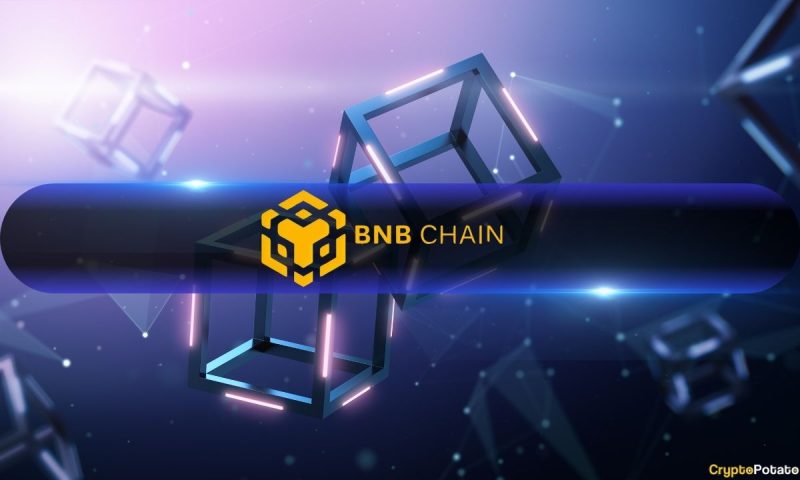 bnb-chain-plans-faster-blocks,-gasless-transactions,-and-ai-for-2025-upgrade