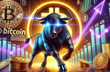 bitcoin-short-term-investors-now-hold-over-4m-$btc.-can-btc-bull-100x?