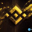 chowwow-presale-hype-surges-as-bnb-and-solana-holders-pile-in