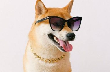 dogecoin-to-$1.35?-analyst-predicts-milestone-‘within-70-days’