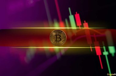 bitcoin-(btc)-falls-to-$96k,-leading-altcoins-suffer-substantial-losses-(market-watch)