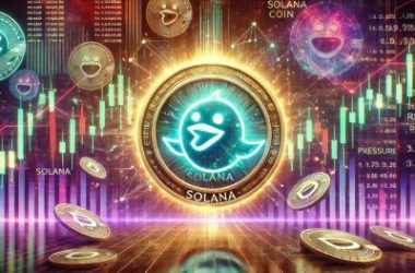 are-meme-coins-hurting-solana?-rising-selling-pressure-sparks-investor-concerns
