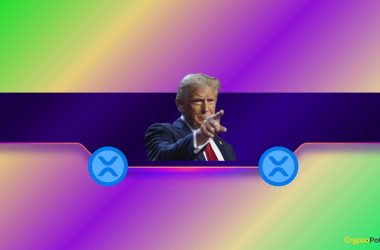did-donald-trump-endorse-ripple-(xrp)?-the-crypto-community-reacts