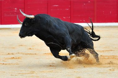 blockstream-ceo-says-market-“not-bullish-enough”-on-btc:-huge-for-bitcoin-pepe?