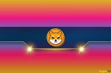 shiba-inu-price-forecasts:-another-50%-crash-or-420%-rally-ahead-for-shib?