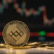 binance-coin-critical-test:-will-bnb-hold-or-plunge-to-$214?