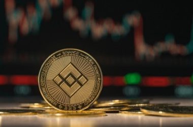 binance-coin-critical-test:-will-bnb-hold-or-plunge-to-$214?