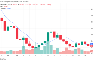 meme-coins-bleeding-across-the-board