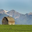 montana-house-representatives-reject-bitcoin-reserve-bill
