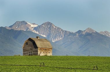 montana-house-representatives-reject-bitcoin-reserve-bill