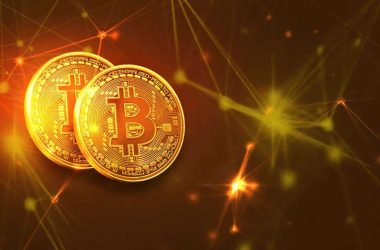 bitcoin-or-nothing:-altvest’s-board-chairman-dismisses-other-blockchain-projects