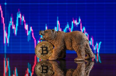 binance-ceo:-we’re-seeing-a-“tactical-retreat”-with-crypto-“not-a-reversal”
