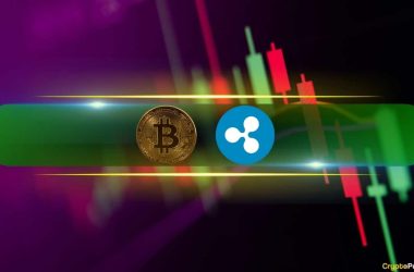 btc-price-calms-at-$89k-after-tuesday-massacre,-xrp-recovers-8%-daily-(market-watch)