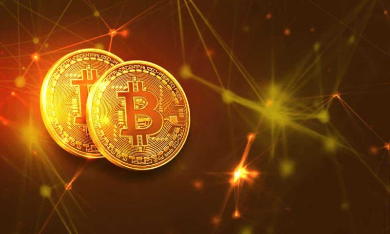 meme-coins-and-ai-lose-big-while-bitcoin-remains-strong:-report