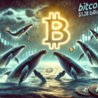 bitcoin-whales-buying-the-dip:-$1.28-billion-added-below-$90,000