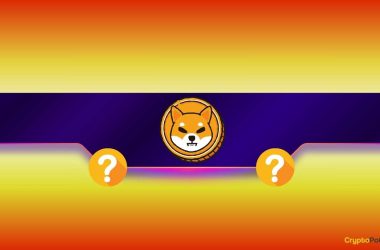 shiba-inu-(shib)-might-plunge-by-another-30%-before-finding-support-(analyst)