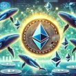 whales-add-190,000-ethereum-in-the-last-24-hours-–-the-accumulation-continues