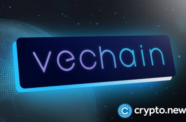 dana-white’s-power-slap-teams-up-with-vechain-for-global-expansion