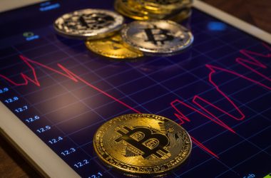 bitcoin-pepe-emerges-as-a-possible-go-to-altcoin-as-crypto-market-bleeds