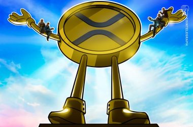 ripple-‘should-act-in-its-own-interest’-when-selling-xrp-—-ripple-cto