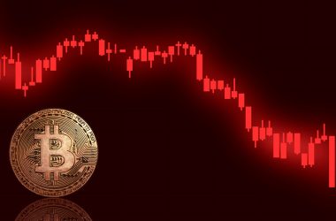 crypto-prices-fall-despite-trump’s-bitcoin-reserve-plan