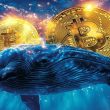 bitcoin-outlook-brightens-as-whales-accumulate-and-binance-stablecoin-reserves-surge