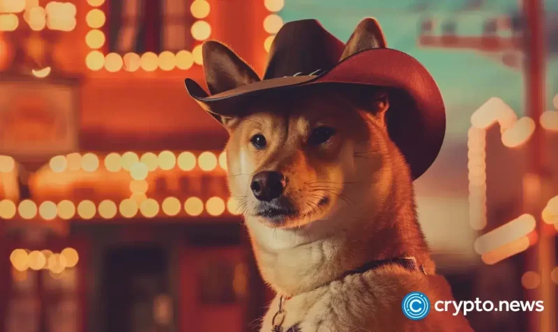 can-shib-price-surge-150%-as-shiba-inu-burn-rate-rockets-over-3,200%?