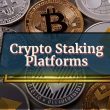 the-5-best-crypto-staking-platforms-in-2025:-everything-you-need-to-know
