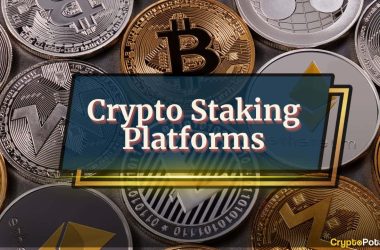 the-5-best-crypto-staking-platforms-in-2025:-everything-you-need-to-know