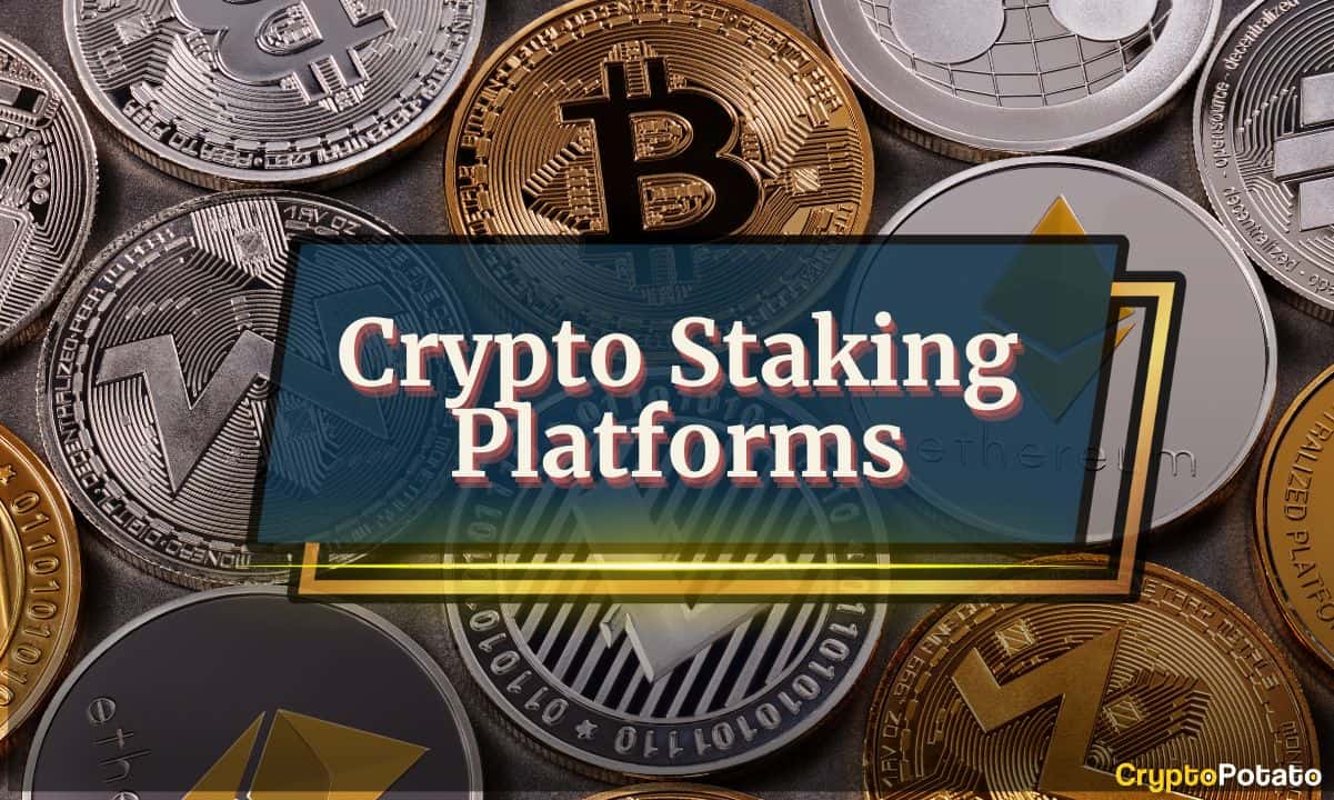 the-5-best-crypto-staking-platforms-in-2025:-everything-you-need-to-know
