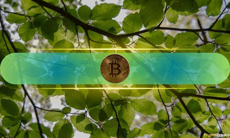 is-bitcoin’s-recovery-near?-on-chain-signals-you-need-to-see