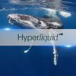 hype-sinks-8.5%-as-whale-liquidation-causes-$4m-hyperliquid-vault-loss