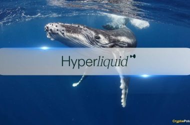 hype-sinks-8.5%-as-whale-liquidation-causes-$4m-hyperliquid-vault-loss