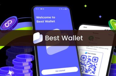 pi-network-tops-crypto-gainers-with-20%-jump-as-bitcoin-recovers-and-best-wallet-ico-nears-$11m
