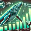 whales-accumulate-over-150-million-xrp-in-just-48-hours-–-is-a-rally-incoming?