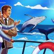 hyperliquid-opened-doors-to-‘democratized’-crypto-whale-hunting:-analyst
