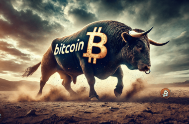 bitcoin-bull-run-‘is-over’:-cryptoquant-ceo-sounds-the-alarm
