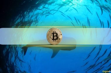 bitcoin-whales-are-buying-the-dip,-accumulating-over-200k-btc-in-a-month