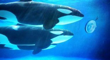 hyperliquid-whale-denies-cybercrime-claims,-zachxbt-to-release-evidence