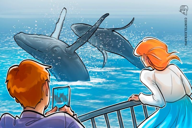 zachxbt-says-he-unmasked-mysterious-50x-hyperliquid-whale